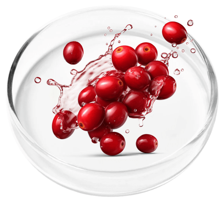 URINARY INCONTINENCE IN WOMEN AND NATURAL TREATMENT - HOW TO STOP URINE LEAKAGE (FEMALE). Cranberry