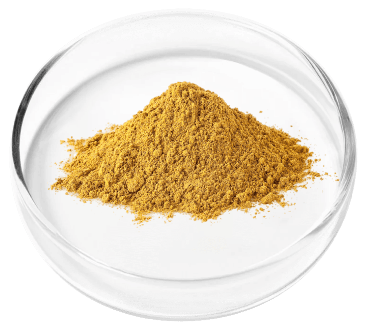 URINARY INCONTINENCE IN WOMEN AND NATURAL TREATMENT - HOW TO STOP URINE LEAKAGE (FEMALE). Granular Berberine