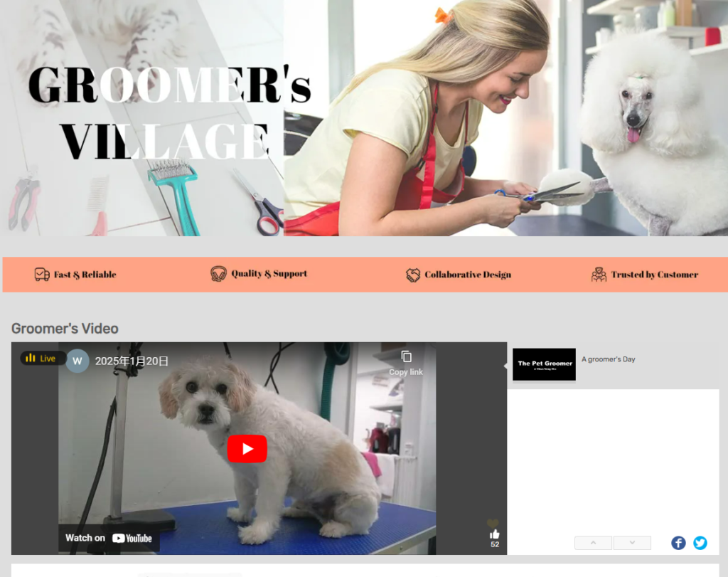 B2B Wholesale & Retail - Importing from China to USA for Maximum Profit DHgate Groomer